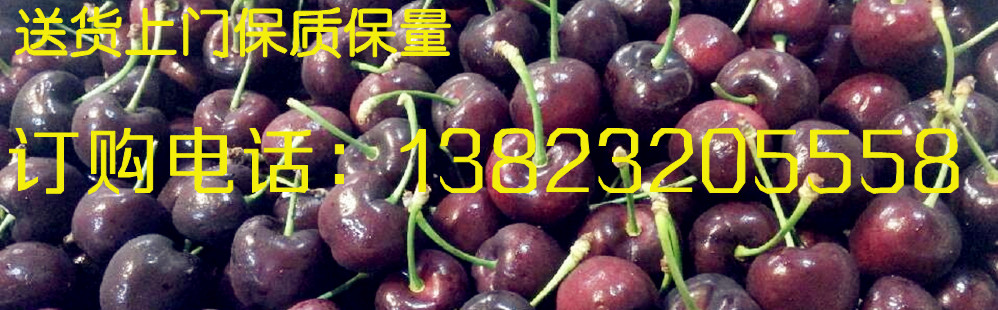 本地龙眼